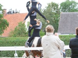 IMG_7978_web